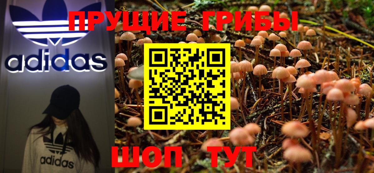 Коломна  наркота  Вход с VPN  Псилоцибиновые грибы MAGIC MUSHROOMS 